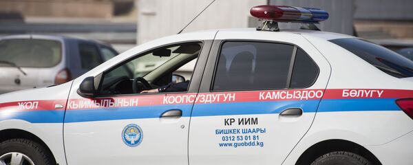 Кайгуул милициясынын автоунаасы. Архив - Sputnik Кыргызстан