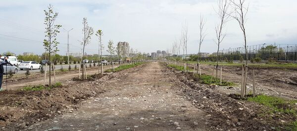 Импортные саженцы в Южной магистрали Бишкека - Sputnik Кыргызстан