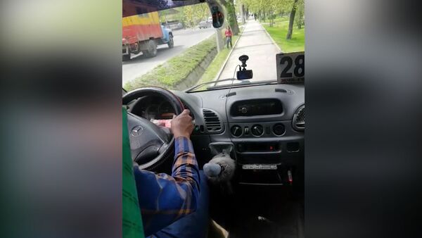 В Бишкеке водитель маршрутки № 281 ехал по тротуару — видео пассажира - Sputnik Кыргызстан