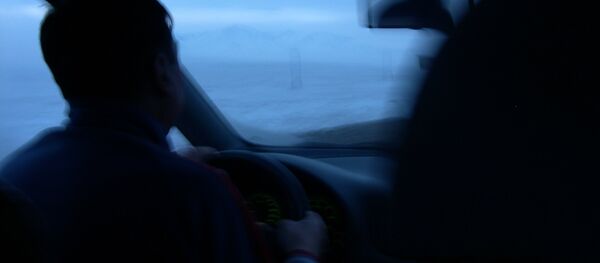 Водитель за рулем. Архивное фото Водитель за рулем. Архивное фото - Sputnik Кыргызстан