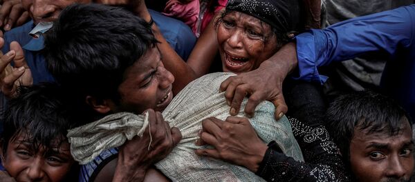 Лауреаты престижнейшей Пулитцеровской премии — категория художественная фотография - Sputnik Кыргызстан