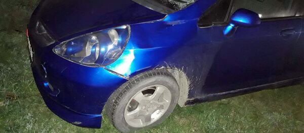 Смертельный наезд на пешехода в селе Ленинском - Sputnik Кыргызстан