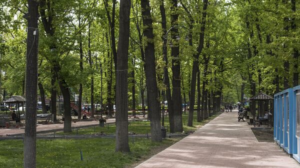 Деревья вдоль бульвара Эркиндик. Архивное фото - Sputnik Кыргызстан