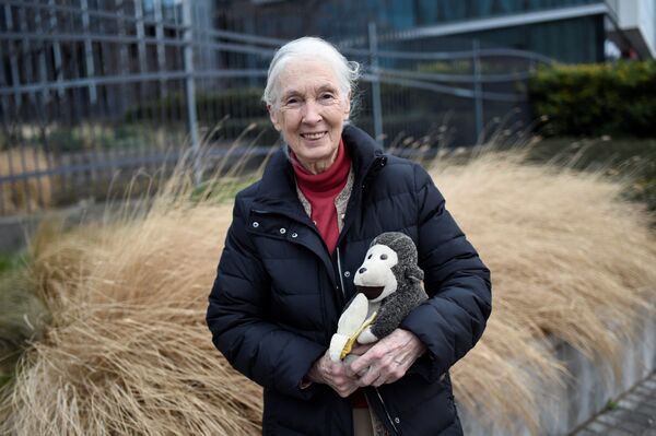 Британский приматолог Джейн Гудолл - Sputnik Кыргызстан