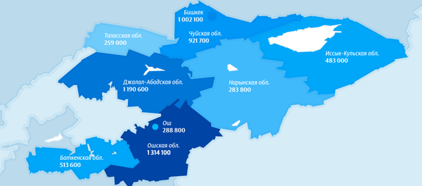 Как изменилось население Кыргызстана за последний год - Sputnik Кыргызстан