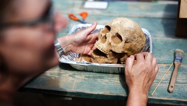 Археолог демонтирует череп найденных во время раскопок. Архивное фото - Sputnik Кыргызстан