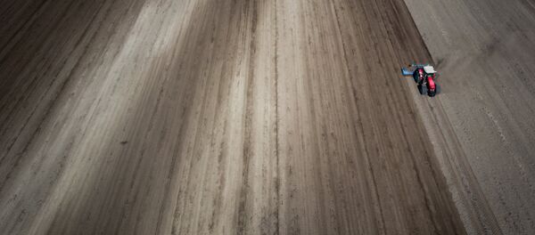 Полевые работы в Швейцарии Полевые работы в Швейцарии - Sputnik Кыргызстан