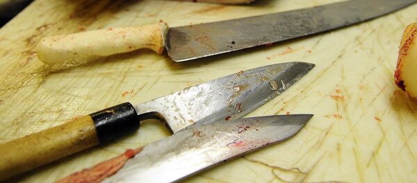 Ножи испачканные кровью. Архивное фото - Sputnik Кыргызстан
