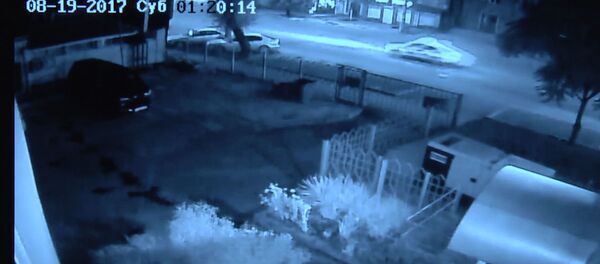 ДТП с дочерью Орзубека Назарова: новое видео погони милиции за мотоциклом - Sputnik Кыргызстан