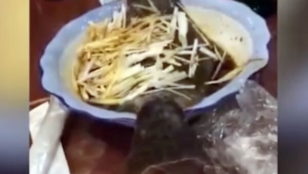 В китайском ресторане рыба выпрыгнула из тарелки, напугав посетителей. Видео - Sputnik Кыргызстан