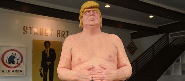 АКШ президенти Дональд Трамптын жылаңач эстелиги. Архив АКШ президенти Дональд Трамптын жылаңач эстелиги. Архив - Sputnik Кыргызстан