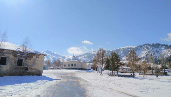 Снег в селе Жыргалан Ак-Сууйского района Иссык-Кульской области - Sputnik Кыргызстан