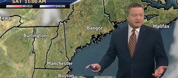 Собака застала телеведущего врасплох в прямом эфире - Sputnik Кыргызстан