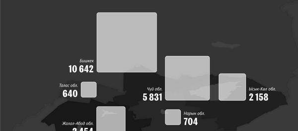 Кыргызстандагы эң кылмыштуу жерлер - Sputnik Кыргызстан