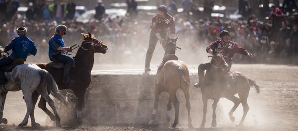 Турнир по кок-бору по случаю празднования Нооруза в Бишкеке - Sputnik Кыргызстан