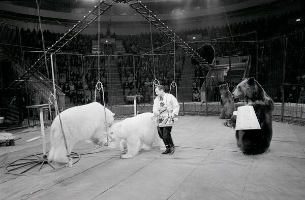 Өлкөнүн башкы циркинин курулушу 1976-жылы бүткөрүлгөн - Sputnik Кыргызстан