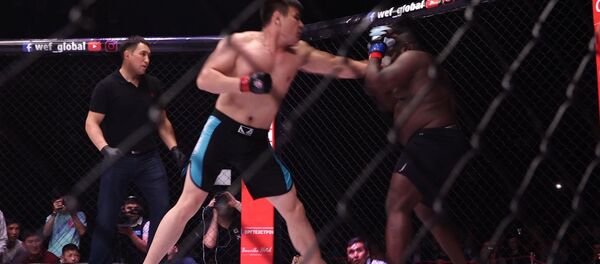 Жээнбеков атаандашы Тамбени таамай соккондо… Беттештин толук видеосу - Sputnik Кыргызстан