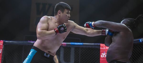 Международный чемпионат по кулатуу WEF Global 12 в Бишкеке - Sputnik Кыргызстан