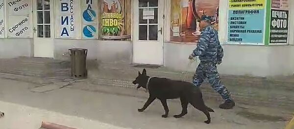 Милиционеры с собаками ищут бомбу на Орто-Сайском рынке. Видео - Sputnik Кыргызстан