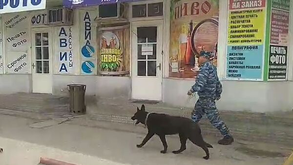 Милиционеры с собаками ищут бомбу на Орто-Сайском рынке. Видео - Sputnik Кыргызстан