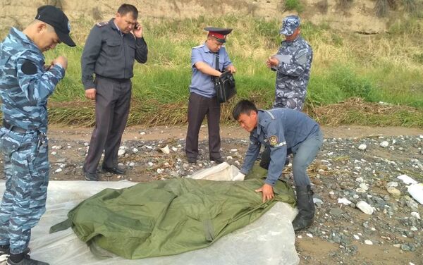 В пресс-службе МЧС рассказали подробности гибели водителя машины Daewoo Matiz в Ноокенском районе Джалал-Абадской области - Sputnik Кыргызстан
