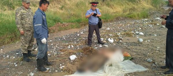 Последствия сходя селя в селе Ак-Жийде Ноокенского района - Sputnik Кыргызстан