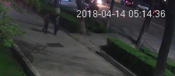 Милиция жеке унаа менен куугунга түшкөн. Кызды учура сүзгөн окуянын жаңы видеосу - Sputnik Кыргызстан