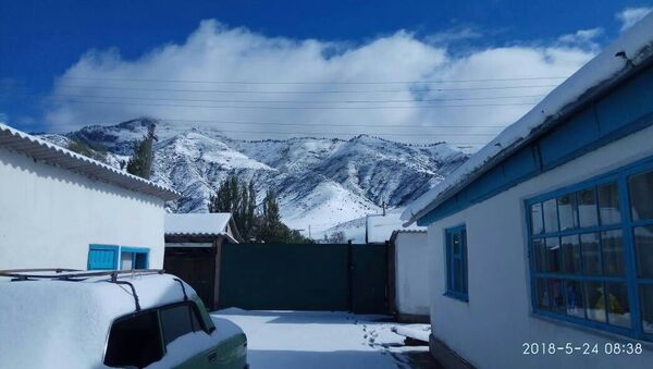 Выпадение снега в селе Сан-Таш Тюпского района - Sputnik Кыргызстан