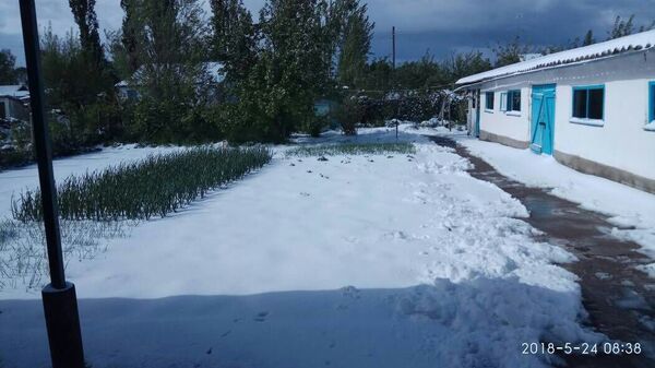 Выпадение снега в селе Сан-Таш Тюпского района - Sputnik Кыргызстан