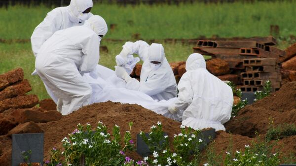 Вспышка вируса Нипах на юге Индии - Sputnik Кыргызстан