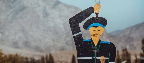 Картондон жасалган инспектор. Архив Картондон жасалган инспектор. Архив - Sputnik Кыргызстан