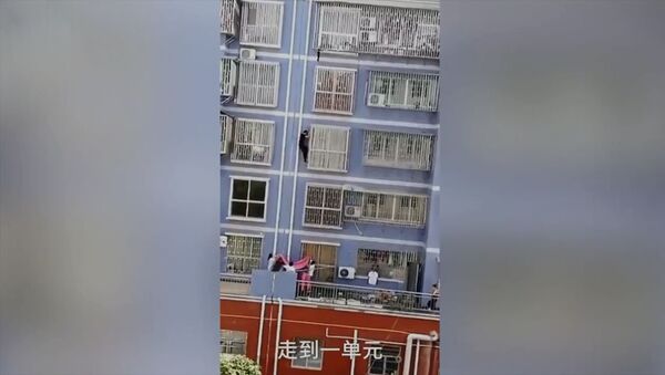 Китайский человек-паук спас ребенка, забравшись на пятый этаж. Видео - Sputnik Кыргызстан