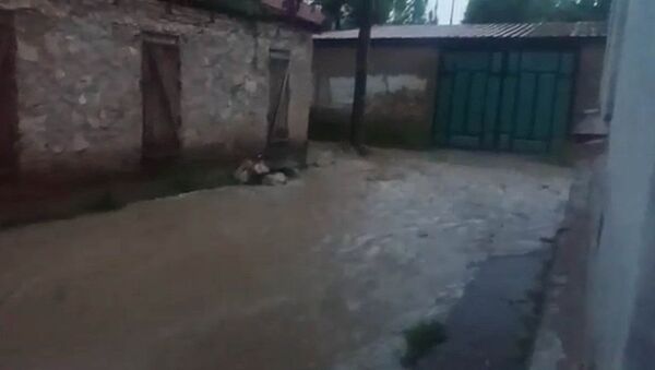 Селевой поток затопил одно из сел в КР — видео - Sputnik Кыргызстан