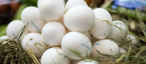 Куриные яйца. Архивное фото Куриные яйца. Архивное фото - Sputnik Кыргызстан