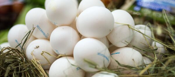Куриные яйца. Архивное фото - Sputnik Кыргызстан
