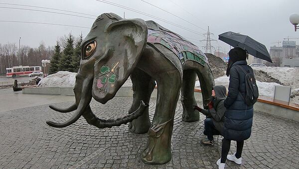 Увидеть в Самаре слона и загадать желание - Sputnik Кыргызстан