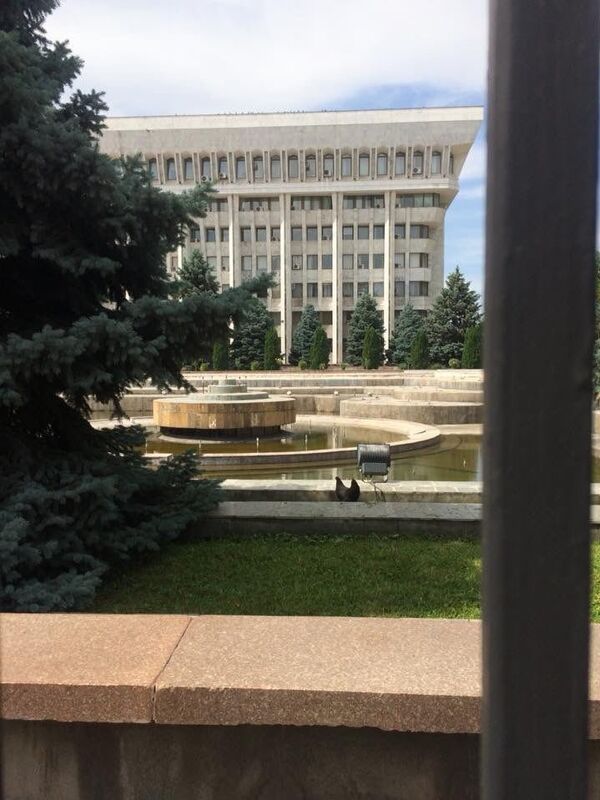 Курица разгуливает по территории Белого дома - Sputnik Кыргызстан