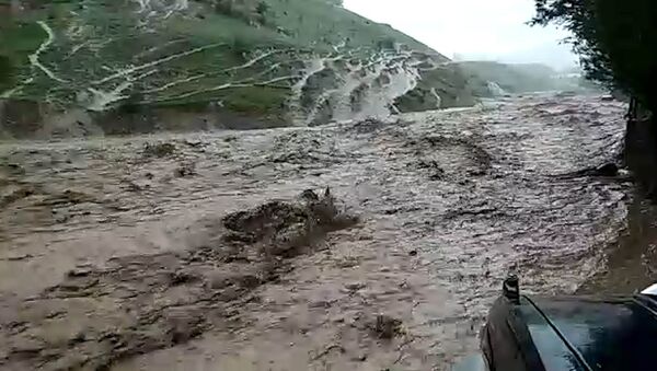 Двор превратился в реку — видео разрушительного селя в Баткенской области - Sputnik Кыргызстан