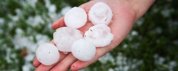 Мөндүр. Архив Мөндүр. Архив - Sputnik Кыргызстан