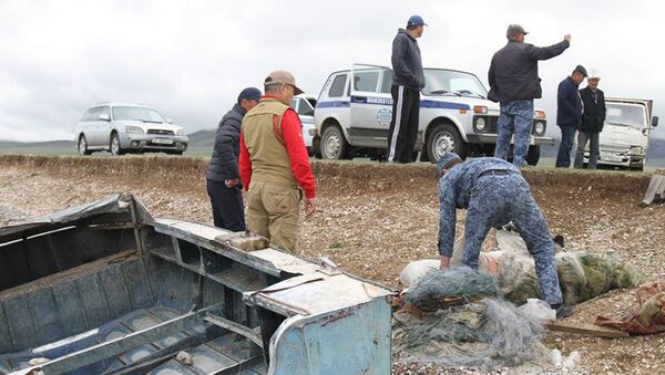 Рейд против незаконного рыболовства на озере Сон-Куль - Sputnik Кыргызстан