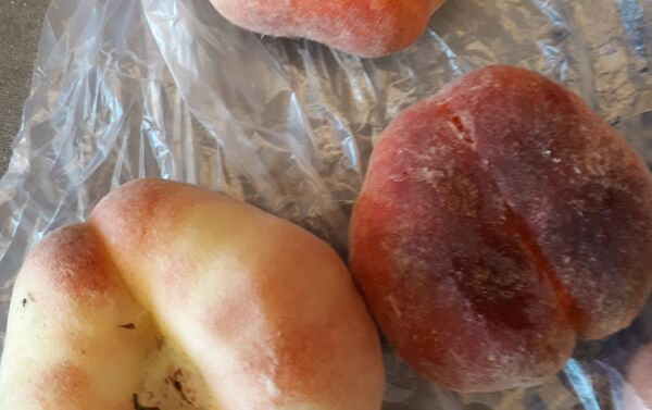 Персики очень ароматные. Наверное, рассчитаны на романтиков, так как форма плодов напоминает сердечки - Sputnik Кыргызстан