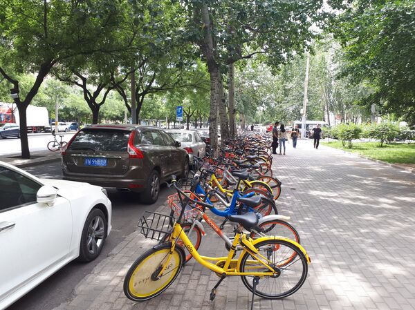 Командировка корреспондента Sputnik Кыргызстан Бакыта Толканова в Китай Командировка корреспондента Sputnik Кыргызстан Бакыта Толканова в Китай - Sputnik Кыргызстан