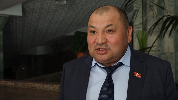 Что бесит депутатов Жогорку Кенеша? 6 откровений, которые будут вам интересны - Sputnik Кыргызстан