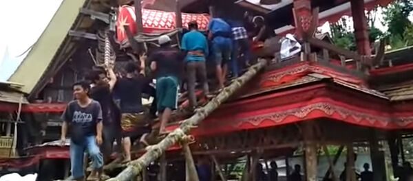 Индонезияда энесинин сөөгү салынган табыт кулап, уулу мерт болду. Видео - Sputnik Кыргызстан