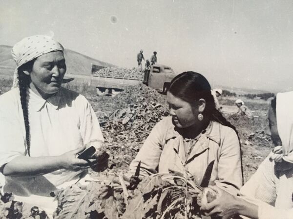 Дважды герой социалистического труда Зууракан Кайназарова - Sputnik Кыргызстан