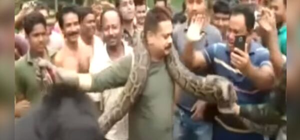 Селфи с питоном едва не обернулось гибелью лесничего в Индии — видео - Sputnik Кыргызстан