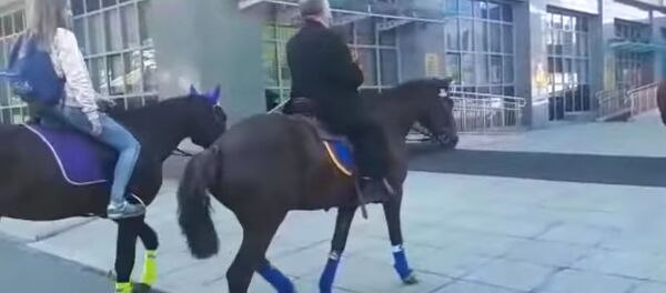 Депутат парламентке атчан келди. Камчаткада тартылган видео - Sputnik Кыргызстан