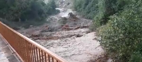 Оргуп ташыган селдин сүрү. Чаткалда тартылган видео - Sputnik Кыргызстан