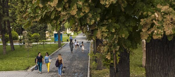 Поражение дубов минирующим пилильщиком  в Бишкеке - Sputnik Кыргызстан