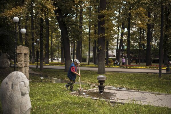 Поражение дубов минирующим пилильщиком  в Бишкеке - Sputnik Кыргызстан